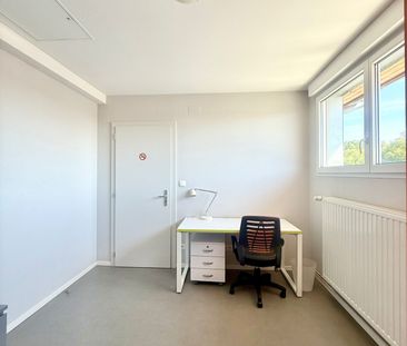 Location Appartement 1 pièce 11m² MITTELHAUSBERGEN 67206 - Photo 3