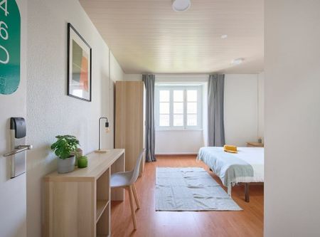 Rua Alexandre Herculano, Lisbon, Lisbon 1150-005 - Photo 5