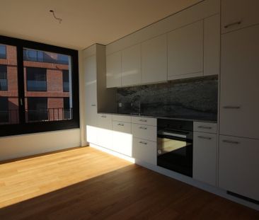 "Moderne Attika-Wohnung in Wädenswil zu vermieten" - Photo 3
