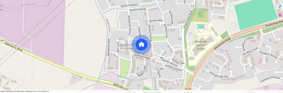 Alder Way, Lisburn, BT28