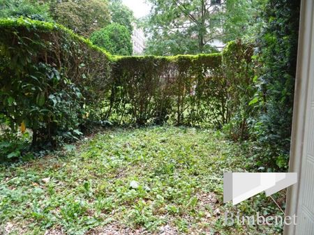 Appartement à louer, 1 pièce - Orléans 45000 - Photo 3