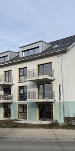 Rent from January, move in December! - Photo 4