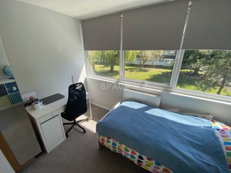 Mill Close, Wokingham - Photo 5
