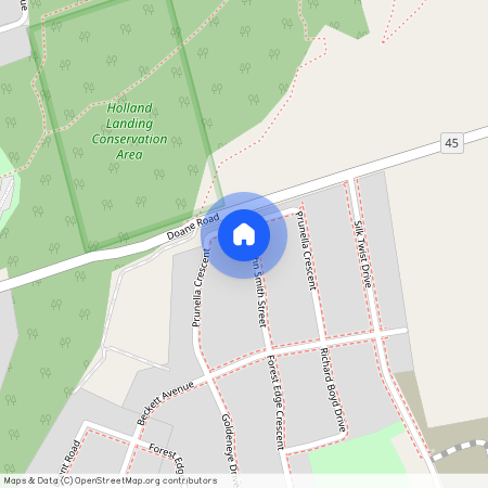 37 Prunella Crescent #Bsmt, East Gwillimbury, Holland Landing