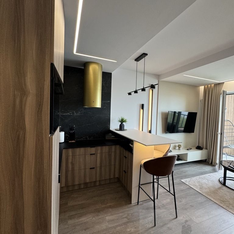 apartament nad jeziorem Dąbskim z miejscem parking - Photo 1