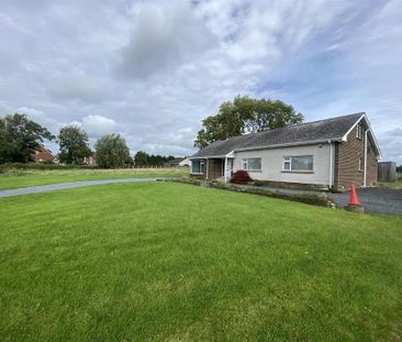 227 Tandragee Road, Portadown, BT62 3RA - Photo 6