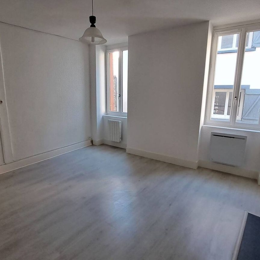 Location appartement 1 pièce 34.57 m² à Vienne (38200) - Photo 1