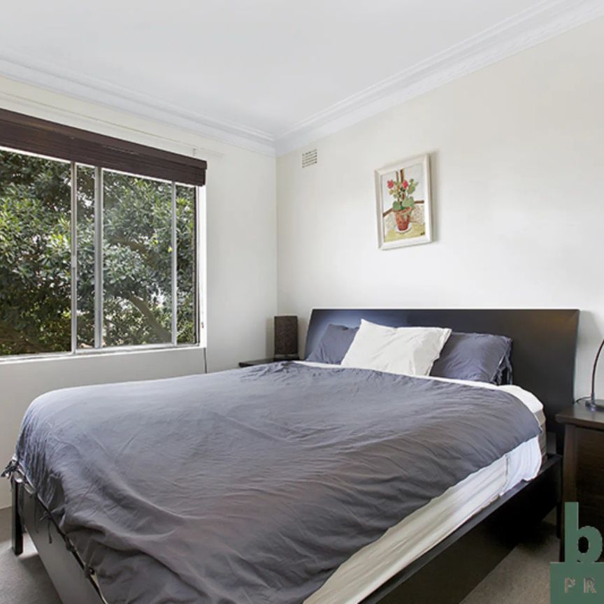 Peaceful Apartment in Leafy Locale - Photo 1