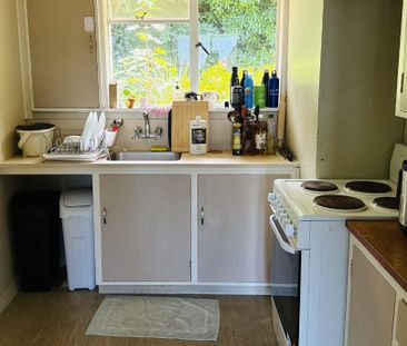 5 Maori Road, City Centre (Dunedin) - Photo 4