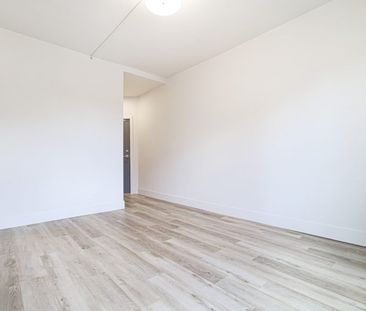 Edinburgh – 247 Young, Winnipeg, MB - Photo 4