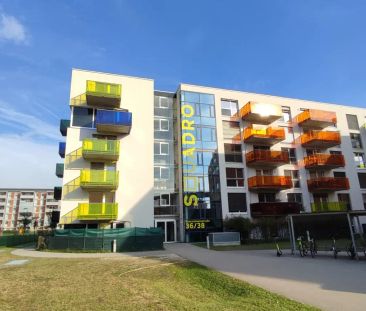 Garten-Ruhe Oase nahe KUK - Foto 1