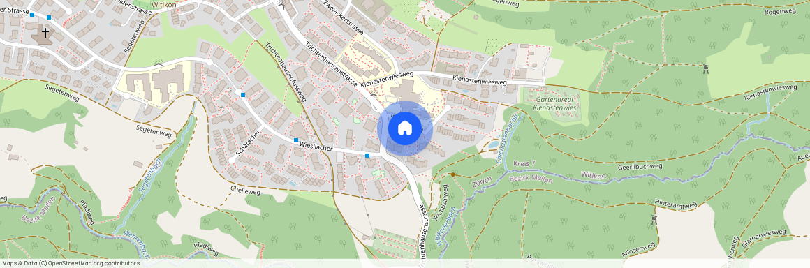 Im Trichtisal 4, 8053 Zürich