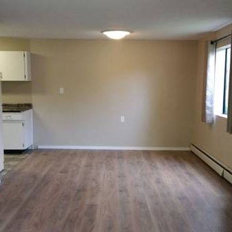 Newcastle Area - Bright 1bdm, 3rd floor, $1350 Available now! - Photo 3