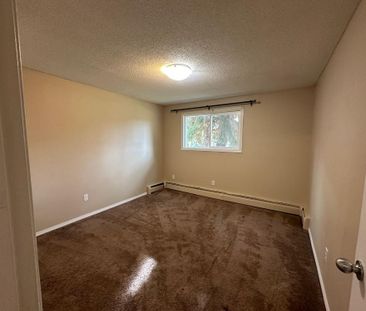 Beautiful Two Bedroom Basement Suite! - Photo 2