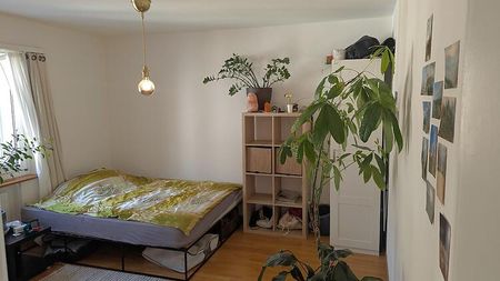 2½ Zimmer-Wohnung in Zürich - Kreis 3 Wiedikon, möbliert, auf Zeit - Photo 4