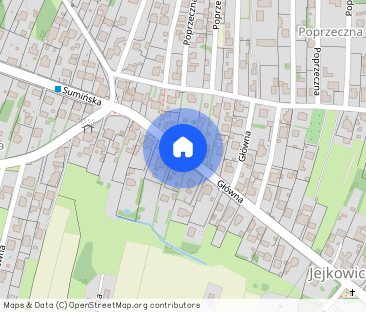 Wynajmę dom jednorodzinny 60m2 – przy zalewie rybnickim - Zdjęcie 1