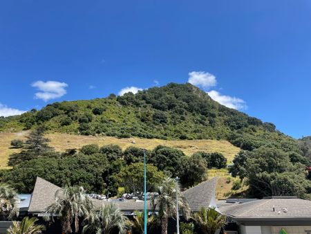 So Close To Everywhere - Mt Maunganui - Photo 5