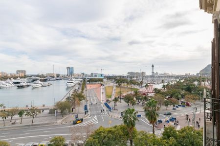 Carrer de la Reina Cristina, Barcelona, Catalonia 08003 - Photo 4