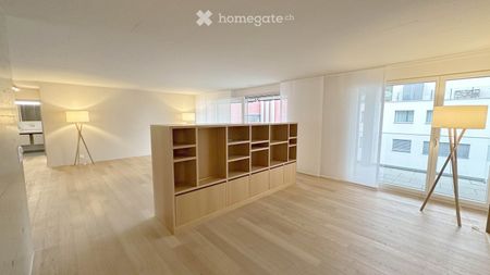 Grosszügige und helle 4.5-Zimmer-Wohnung im Minergie-Standard im Zentrum von Lachen zu vermieten - Photo 4