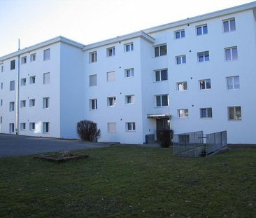 Moderne 3.5-Zimmer-Wohnung in Obfelden zu vermieten - Foto 3