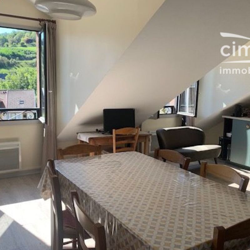 A LOUER STUDIO MEUBLE SALLANCHES (74700) - Photo 1