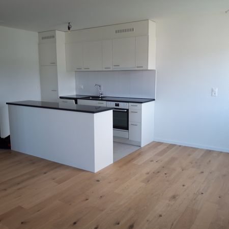 Neu renovierte 3,5-Zimmerwohnung an zentraler Lage mit wunderschöner Aussicht - Foto 3