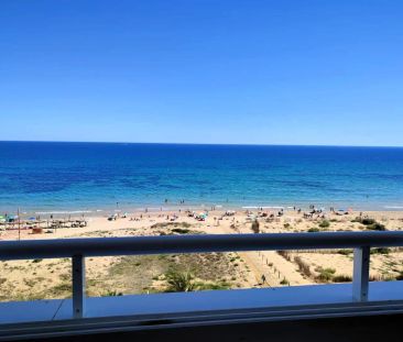 Elche / Elx - Photo 5