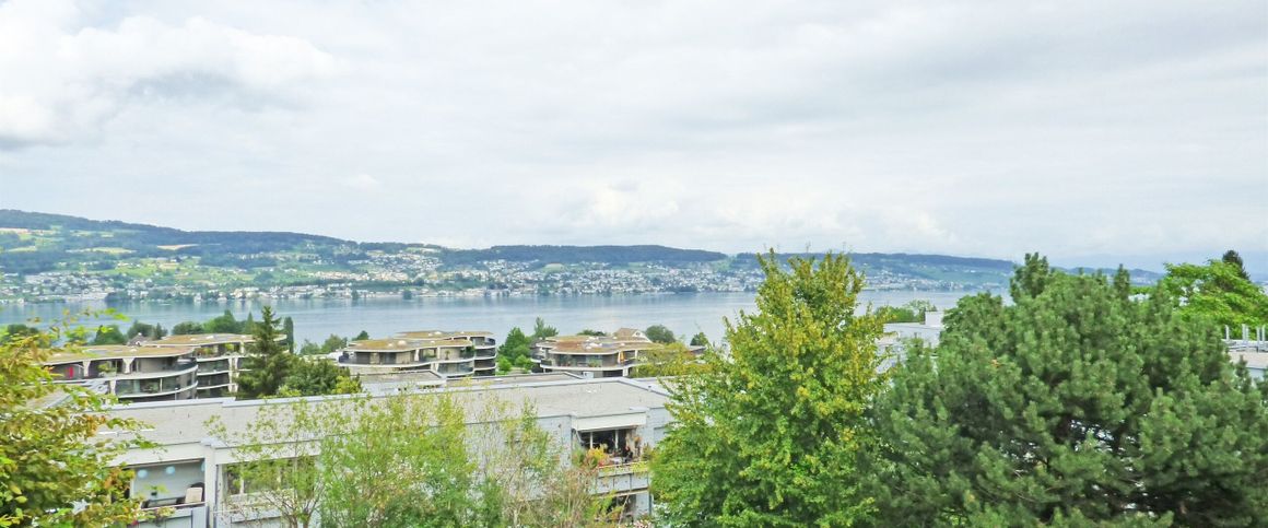 Luxurious ground floor apartment in central location - Foto 1