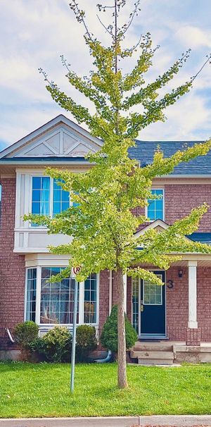 For Lease - 3 Clayborne Avenue, Brampton, Ontario - Photo 1