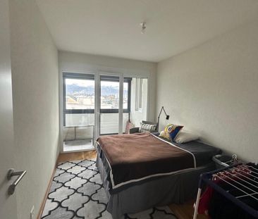 Appartement de 6 pièces à Carouge - Photo 5