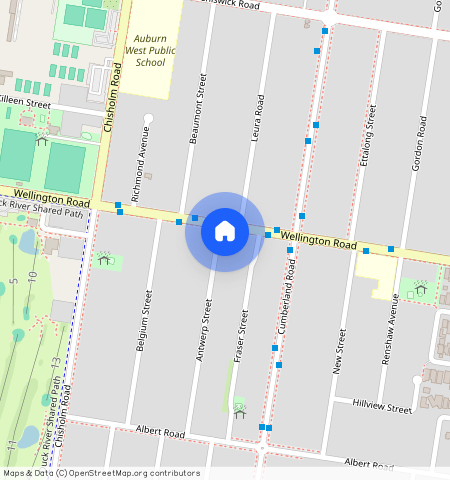 71 Wellington Road, AUBURN, NSW 2144