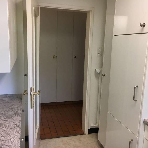 Simon #1 - Experience 60's Charm in Zürich's Green Oasis - Photo 1