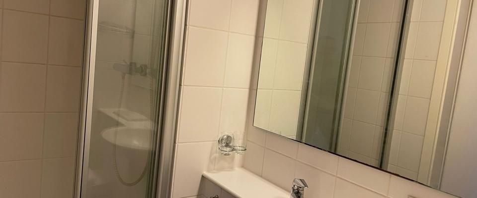 Möbliertes Apartment mit Duschbad und kleiner Küche - Photo 1