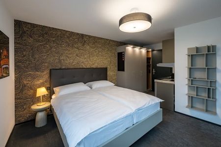 "neues möbliertes Studio an sehr zentraler Lage in Kriens" - Photo 4