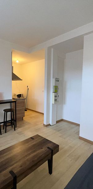 Location Appartement 1 pièce 21m² - Photo 1