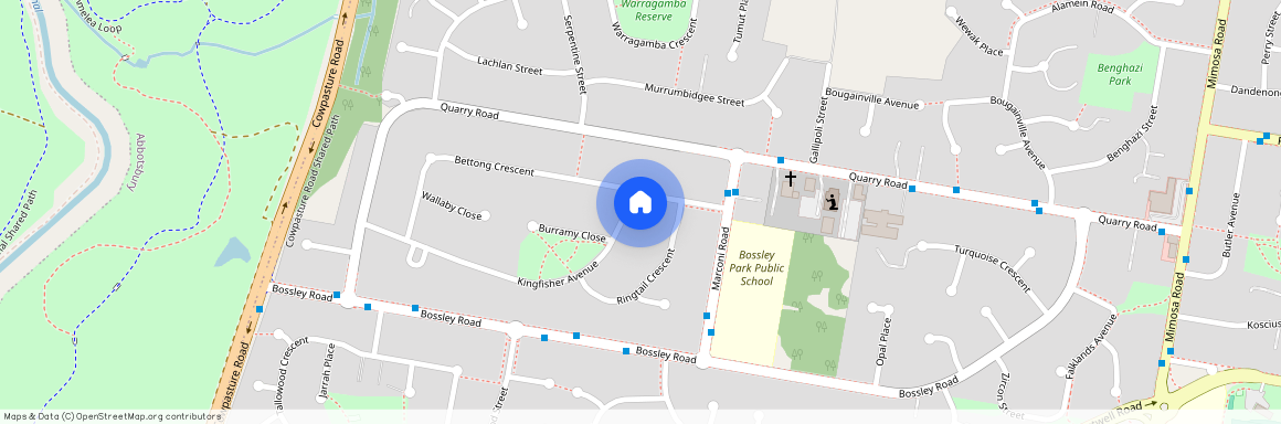 12 Kingfisher Avenue, NSW 2176, Bossley Park