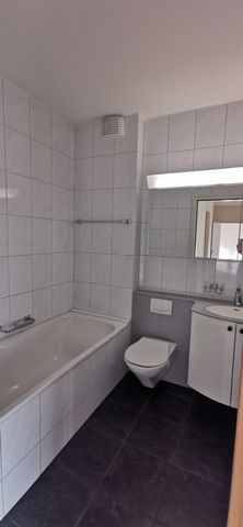 Grossbasel MFH Burgfelderstrasse - Photo 2