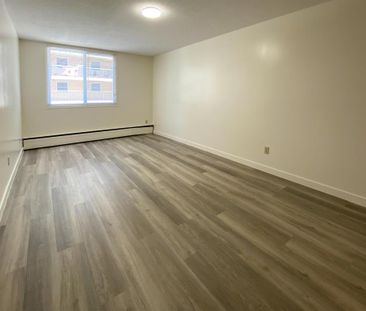 Bachelor One Two Bedroom Apartment Units - Photo 4