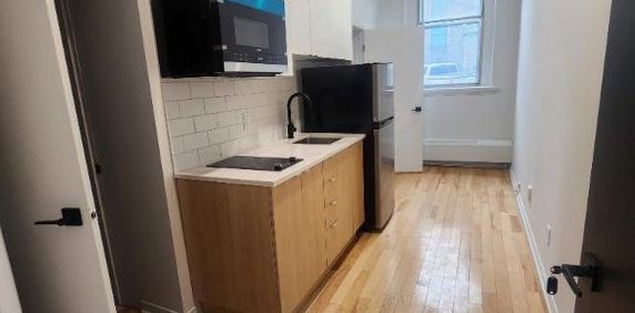 1 CH - 1 SDB - Montréal - $1,245 /mo - Photo 2