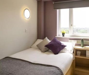 Silver Plus Ensuite - Photo 5