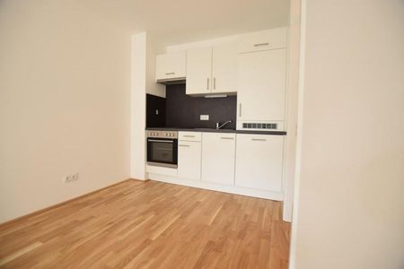 Puntigam – Brauquartier – 48m² – 2 Zimmer Wohnung – große Loggia - Photo 4