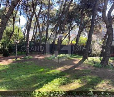 Μονοκατοικία 200 τ.μ. προς ενοικίαση - Photo 3