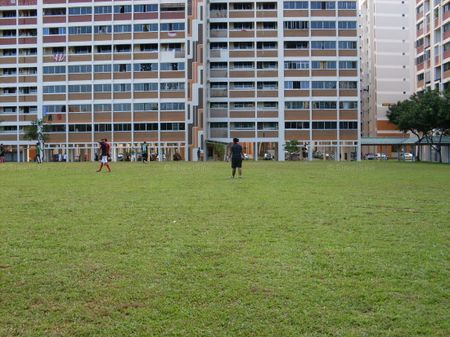 Blk 936 TAMPINES PALMSPRING (Tampines), HDB 4 Rooms - For Rent - Photo 2