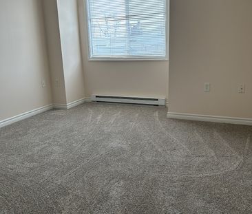 TAYLOR PLACE -303 - TP303 - Photo 4