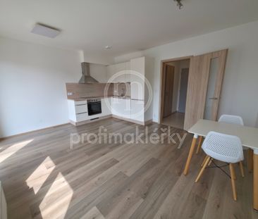 Pronájem bytu 1+kk a garsoniéry 33 m² - Photo 2