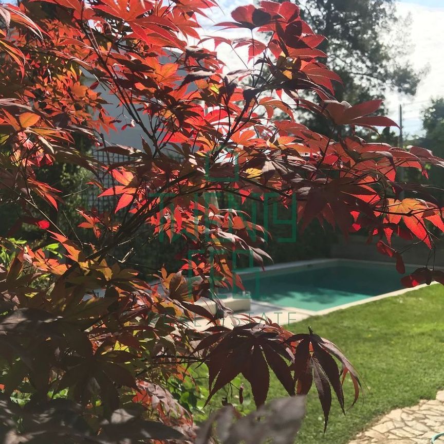Μονοκατοικία για ενοικίαση Αρσάκειο (Παλαιό Ψυχικό) - Φωτογραφία 1