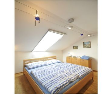 Dachterrassenwohnung in wunderschöner ruhiger Lage nähe EKZ Traisen... - Foto 4