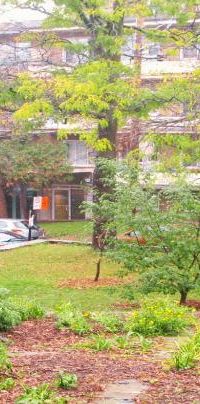 GRAND 4 1/2 PLACE DARLINGTON CARTIER Côte-des-Neiges - Photo 1