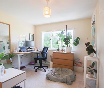 Catons Lane, Saffron Walden - Photo 4