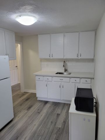 For Lease - 13 Pinegrove Avenue Unit# Upper, Toronto, Ontario - Photo 5